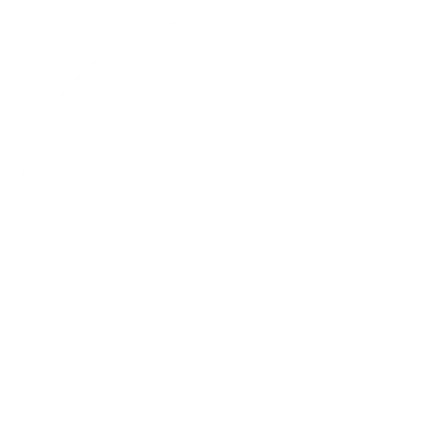 Circle element on the Slider